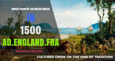Portugal's Colonization of Brazil in 1500: Unraveling Historical Facts