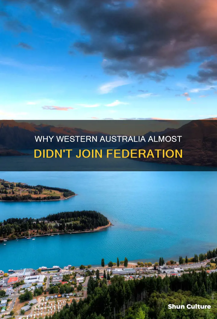 which country decided not to join australia in federation