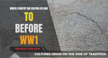 Austria's Pre-WW1 Identity: A Country's Complex Past