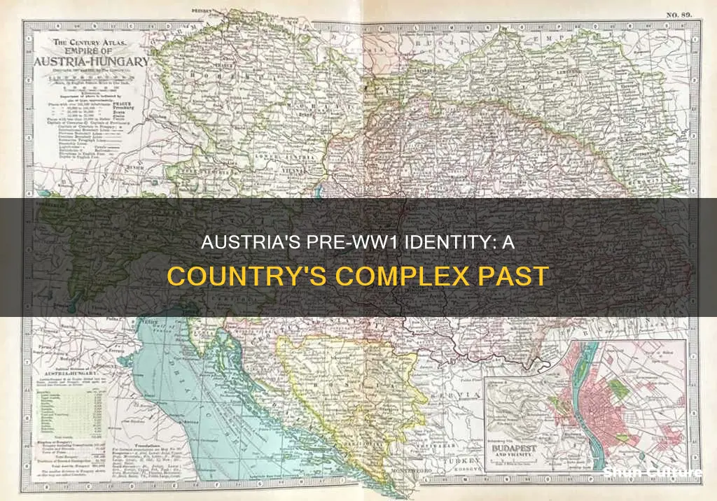 which country did austria belong to before ww1