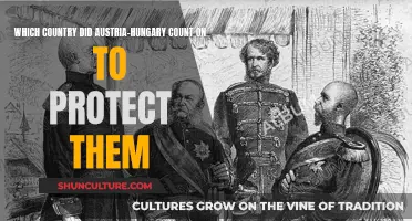 Austria-Hungary's Protector: Who Was It?