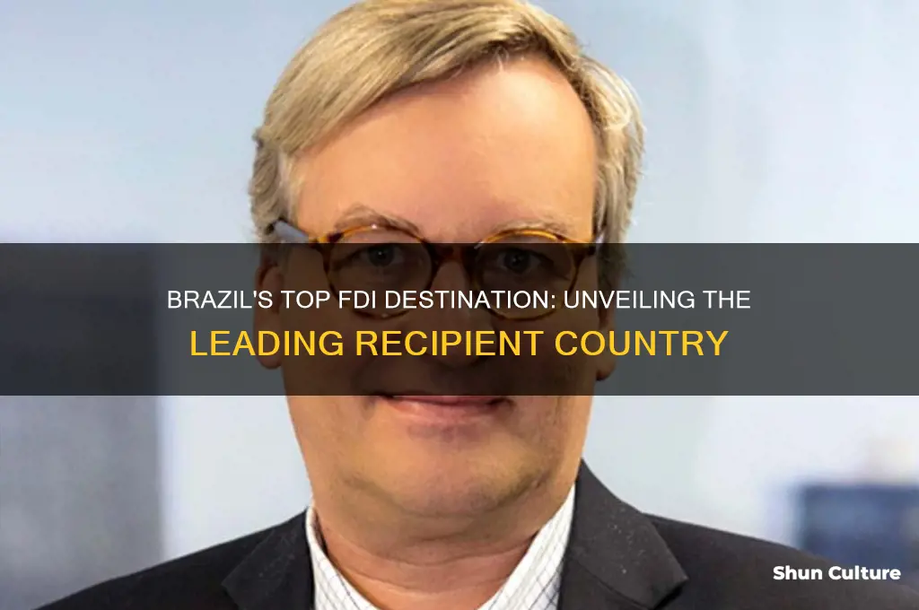 which country does brazil invest in the most fdi