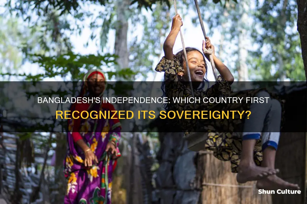 which country first declared independence of bangladesh
