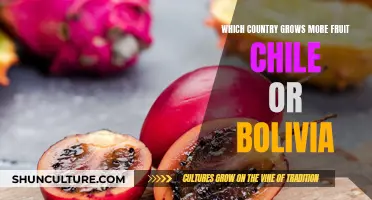 Fruitful Countries: Chile and Bolivia's Agricultural Comparison