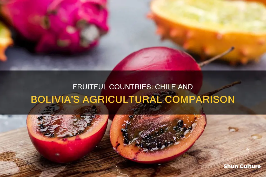 which country grows more fruit chile or bolivia