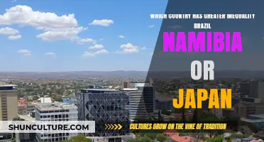 Inequality Compared: Brazil, Namibia, or Japan – Which Nation Faces the Greatest Divide?