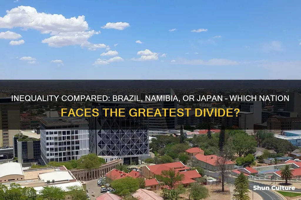 which country has greater inequality brazil namibia or japan