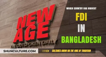 Top Foreign Investor in Bangladesh: Which Country Leads FDI?