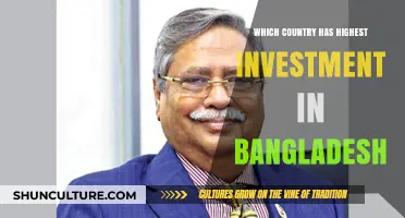 Top Foreign Investor in Bangladesh: Which Country Leads the Pack?