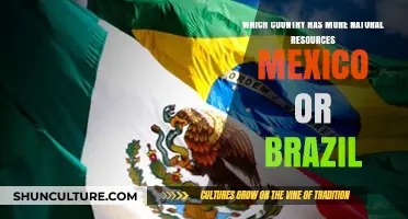 Mexico vs. Brazil: Comparing Natural Resource Wealth and Economic Impact