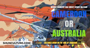 Flags and Stars: Australia vs Cameroon