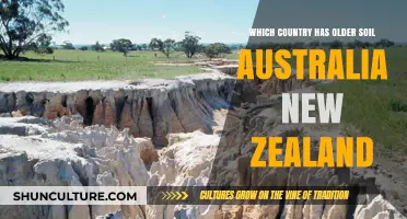 Soil Secrets: Australia vs. New Zealand