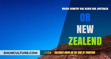 Australia vs New Zealand: Who's Got the Oldest Soil?