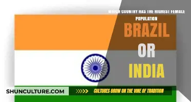 Female Population Comparison: Brazil vs. India – Which Country Leads?