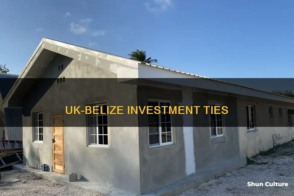 which country invest united kingdom belize