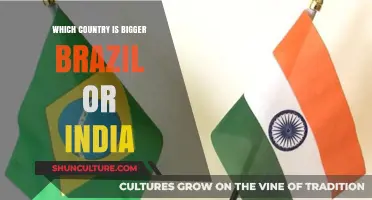 Brazil vs. India: Comparing Land Size and Geographic Scale