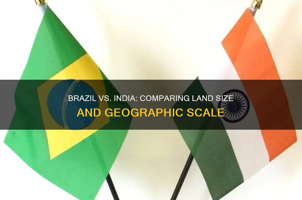 which country is bigger brazil or india