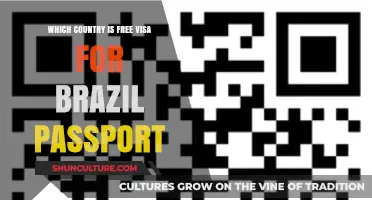 Visa-Free Travel: Countries Welcoming Brazilian Passport Holders Without Hassle
