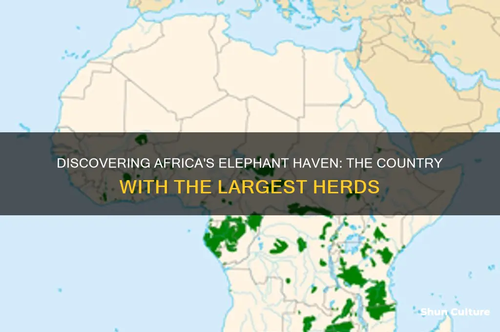 which country is home to the most african elephants