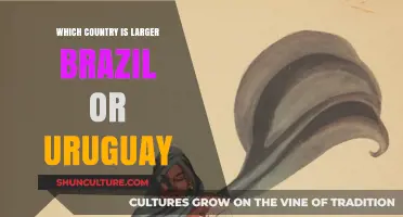 Brazil vs. Uruguay: Comparing the Size of These South American Nations
