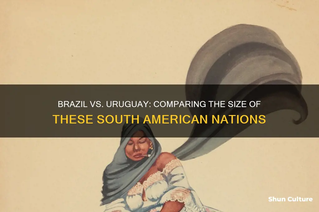 which country is larger brazil or uruguay