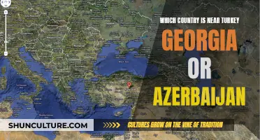 Exploring Turkey's Neighbors: Azerbaijan or Georgia?