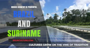 Brazil vs. Suriname: Analyzing Military, Economic, and Political Power Dynamics