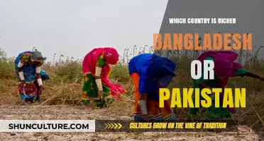 Bangladesh vs. Pakistan: Economic Comparison and Wealth Disparity Revealed