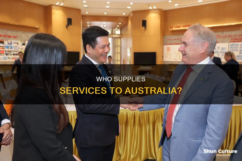 which country is the largest supplier of services to australia