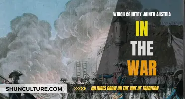 Allies of Austria: Who Joined the Fight?
