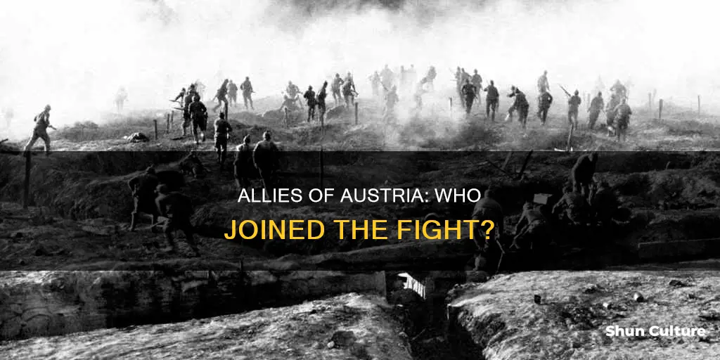 which country joined austria in the war