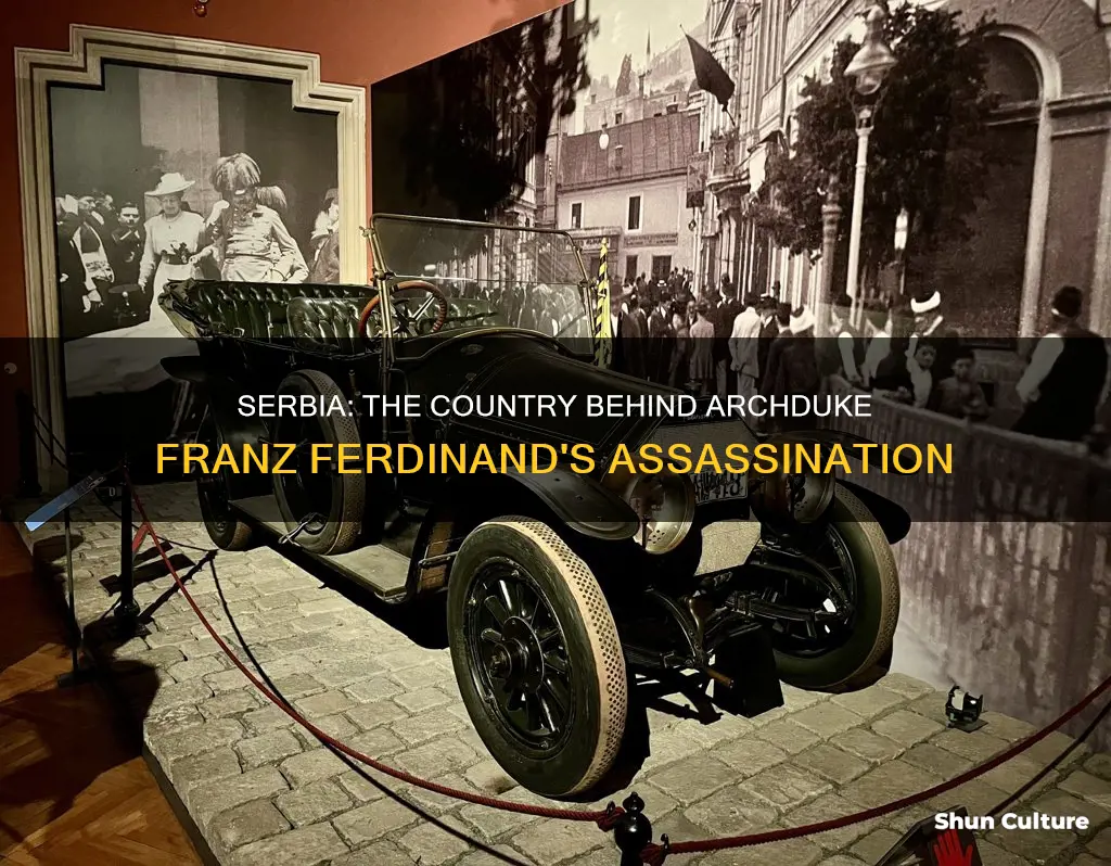 which country killed austrian archduke franz ferdinand