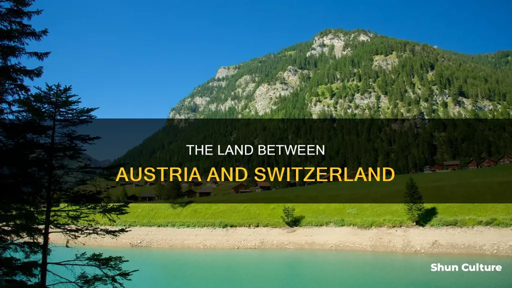 which country lies between austria and switzerland