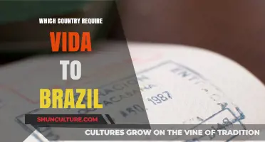 Visa Requirements for Brazil: Which Countries Need One to Visit?