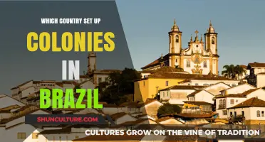 Exploring Brazil's Colonial History: Which Country Established Settlements?