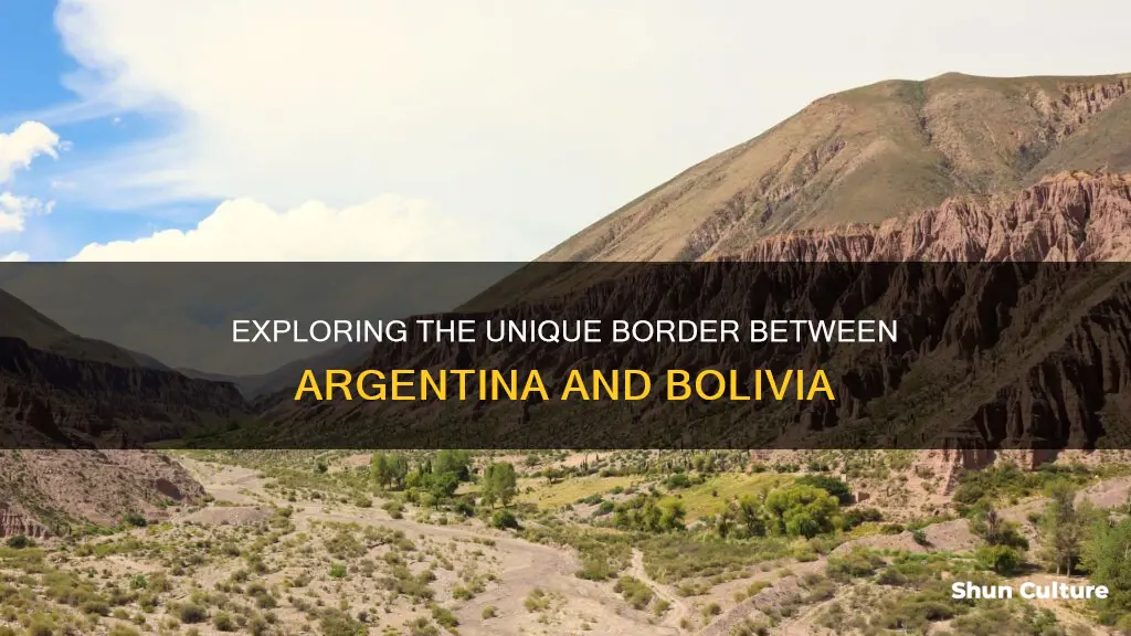 which country shares a border with argentina and bolivia