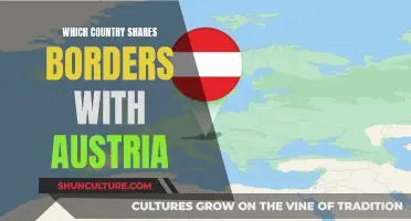 Exploring Austria's Bordering Countries and Their Unique Cultures