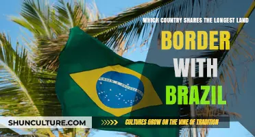 Brazil's Border Buddy: Discovering Its Longest Land Border Neighbor