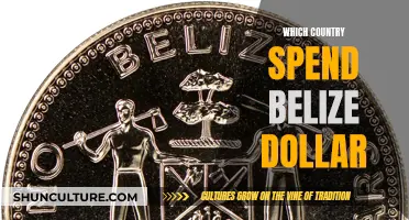 Belize Dollar: Where It's Spent