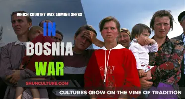 Unveiling the Bosnian War: Which Nation Armed the Serbs?