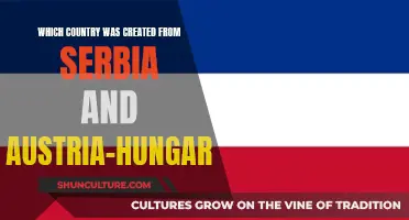 The Formation of Nations: Serbia and Austria-Hungary