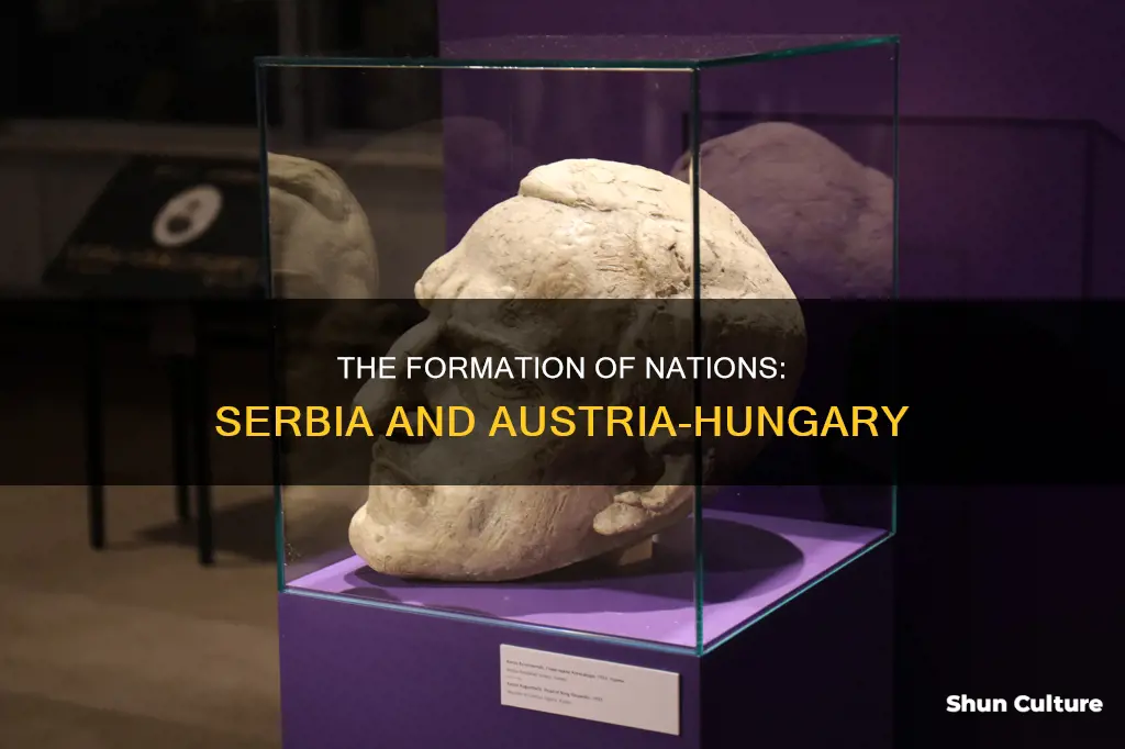 which country was created from serbia and austria-hungary