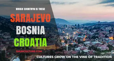 Sarajevo's Location: Bosnia and Herzegovina, Not Croatia, Explained