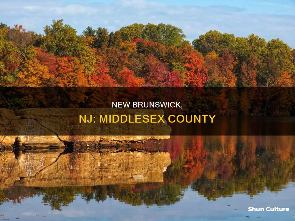 which county is new brunswick nj