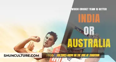 Cricket Supremacy: India vs Australia