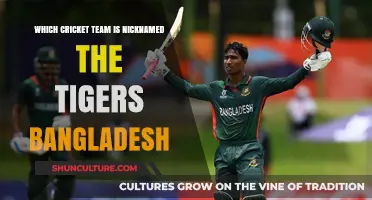 Bangladesh Cricket Team: The Fierce Tigers of the Pitch