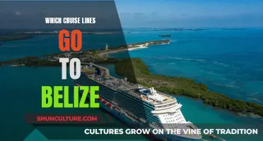 Cruise Lines Sailing to Belize