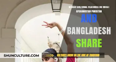 Shared Cultural Heritage: Afghanistan, Pakistan, and Bangladesh's Common Traditions
