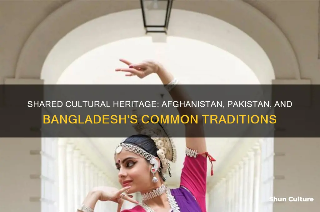 which cultural features do most afghanistan pakistan and bangladesh share