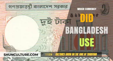 Exploring Bangladesh's Historical and Current Currency Usage: A Comprehensive Guide